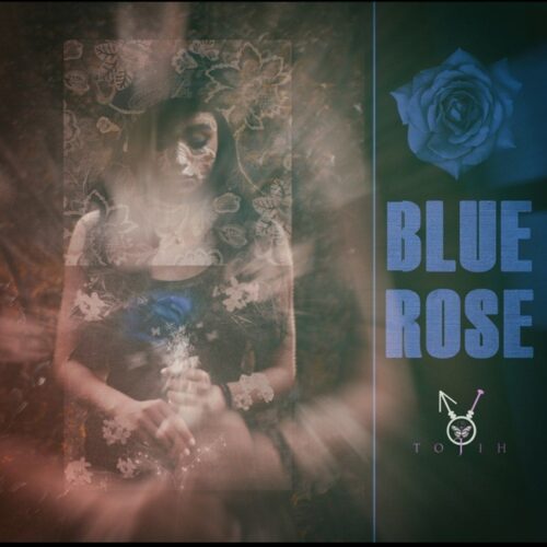 دانلود آهنگ مسکوت رز ابی