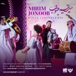 دانلود آهنگ بابک جهانبخش میریم جنوب (اجرای کنسرت)