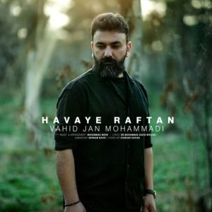 دانلود آهنگ وحید جان محمدی هوای رفتن